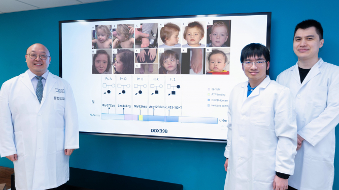 In a global study led by Dr Brian Chung Hong-yin (left), the HKUMed research team identifies a novel gene, DDX39B, for a rare disease. Genetic mutations in this gene impact brain function, leading to developmental delay and hypotonia.